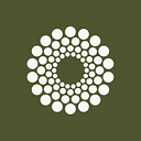 Cocoon