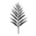 Logo for cocosalvaje.co