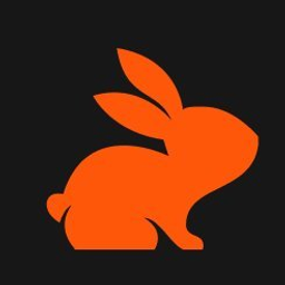 Coderabbit logo