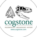 Cogstone logo