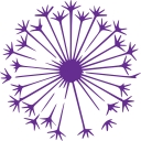 Coko logo