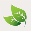 Coldtree Foundation Inc logo