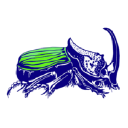 COLEOPTERISTS SOCIETY logo