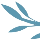 Culture Of Life Family Svc logo