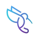 Favicon of Colibri Digital