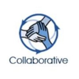 COLLABORATIVE SYSTEMS logo