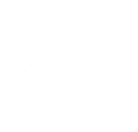 Collection Xiix, Ltd. logo