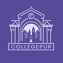 CollegePur logo — Full Stack Next.js Developer Intern job on DevsUnite