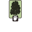 Summer Camps At College Settlement