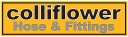 Colliflower Inc logo