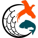 Collins Nets logo