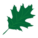 Colonial Oaks Health and Rehabilitation logo