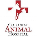 Colonial Animal Hospital - Springfield, VA