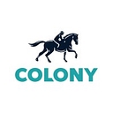 Colony Group Ltd logo