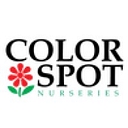Color Spot Nursery logo