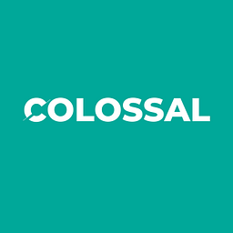 Colossal Management LLC logo