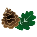Coltman Bros   Your Timber Specialist logo