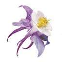 Columbine Label Company logo