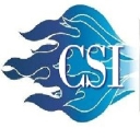 Combustion Services, Inc. logo