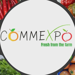 COMMEXPO LTD logo