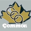 Common Collection Agency Inc logo