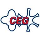 Compressor Engineering Group Inc. logo