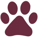 Companion Animal Clinic