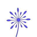 companyurlfinder.com icon