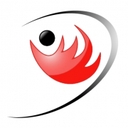 Complete Fire Solutions logo