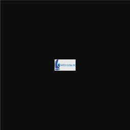 Comtech Global, Inc. logo