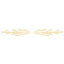 Software Hiring Website