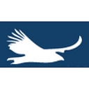 Condor Electronics logo
