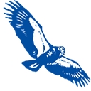 Condor Earth Technologies, Inc. logo