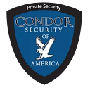 Condor Security logo