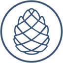 Solution Cone logo — Internship Opportunities Next.js Developer & Flutter Developer job on DevsUnite