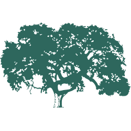 Century Academy logo