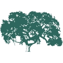 Conejo Valley Unified logo