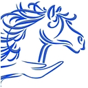confidenthorsemanship.com logo