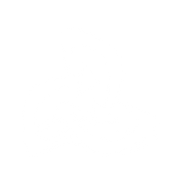 Connecteurstek, LLC logo