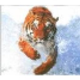Connecting Waters Charter logo