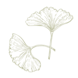 Connections Health LLC logo