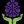 Connections Learning Center logo