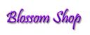 conroetexasblossomshop.com logo