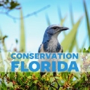 Conservation Florida logo