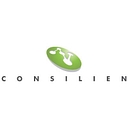 Consilien logo