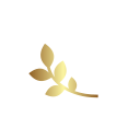 Consilium Inc logo