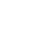 Constructive Bio logo