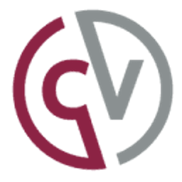 consultingvalladolid.es