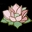 Contemporary Obstetrics And Gynecology logo