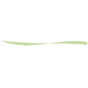 Continental Food Store logo